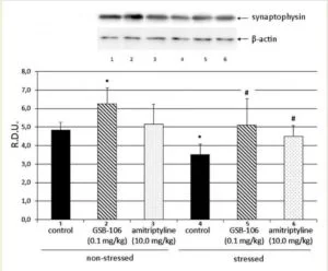 SYNAPTOGENESIS