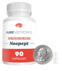 noopept capsules