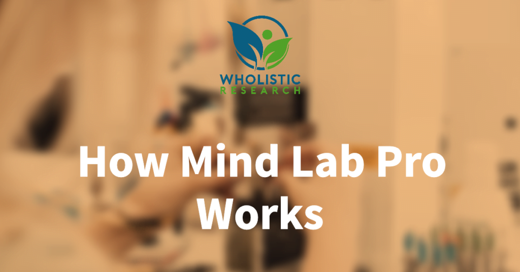How Does MindLab Pro Work?