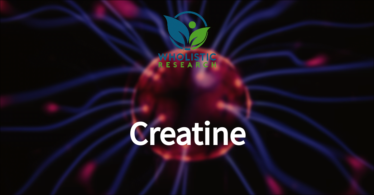 creatine as a nootropic