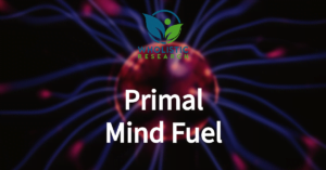 Primal Mind Fuel Review 2023: Effectiveness & Results Reviewed 1