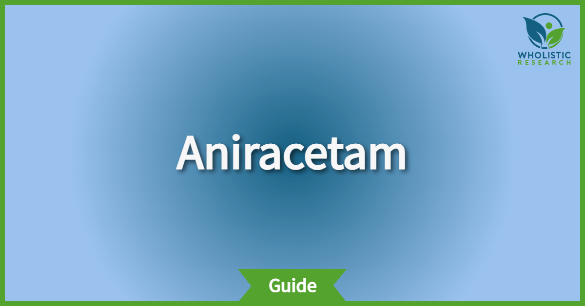 aniracetam review