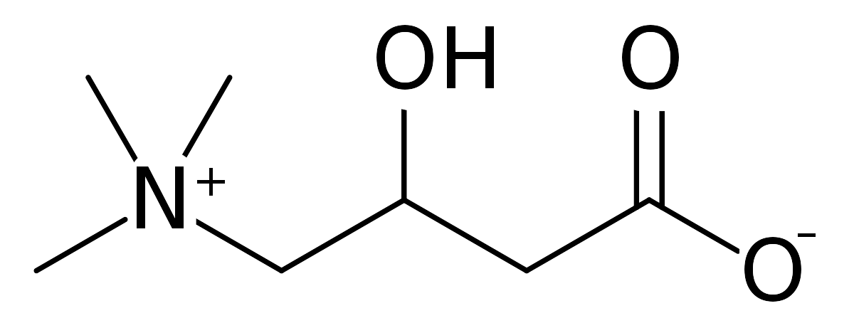 carnitine chemical structure