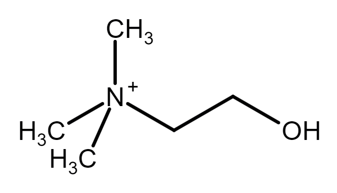 choline molecule chemical structure