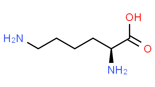 lysine molecule for nootropic benefits