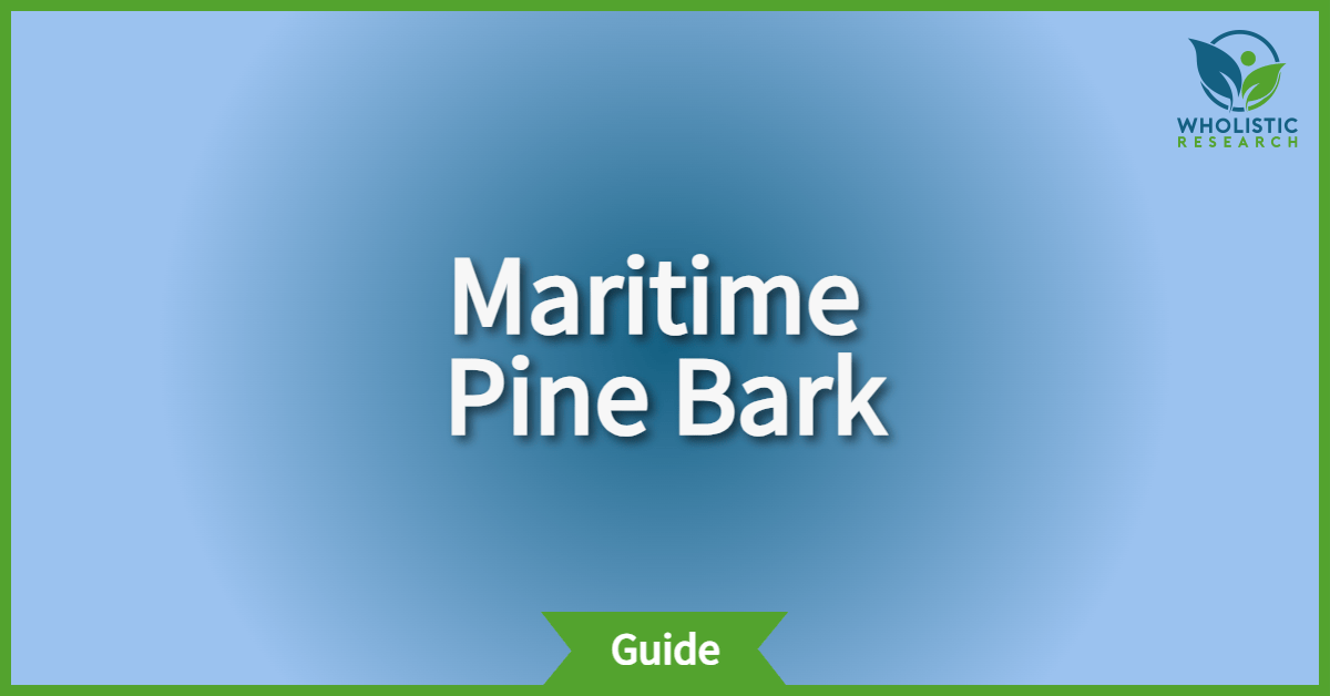 Maritime Pine Bark Review of Nootropic Benefits, Uses, & Side Effects