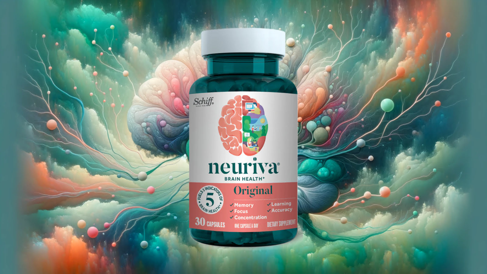 Overview of Neuriva's ingredients, their effects on the brain, and possible alternatives