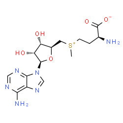 chemical structure of s-adenosyl methionine