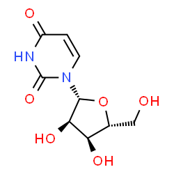 chemical structure of urdine